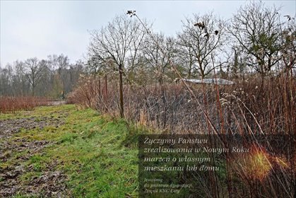 działka na sprzedaż 3000m2 działka Kazimierz Dolny