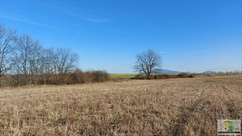Działka budowlana na sprzedaż Wilków 1 128m2 Foto 2