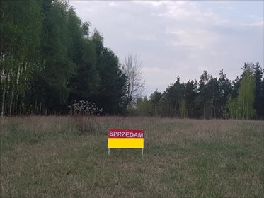 Działka rolna na sprzedaż Kosewo, Nasielsk 2 000m2 Foto 6