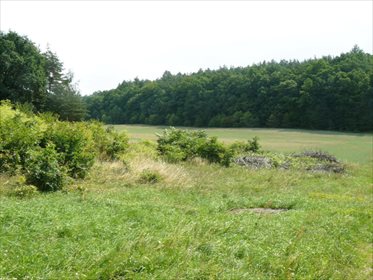 Działka budowlana na sprzedaż Borowo 2 049m2 Foto 1