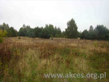 działka na sprzedaż 11600m2 działka Kawęczyn