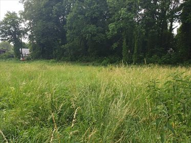 Działka rolna pod dzierżawę Chojna 2 013m2 Foto 7