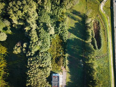 Działka budowlana 1997 m² z mediami i planem zagospodarowania działka Rąbień, Poziomkowa