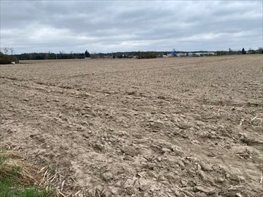 Polecam działkę 2375 m² z MPZP, zabudowa zagrodowa działka Lutomiersk, Kolonia Mikołajewska