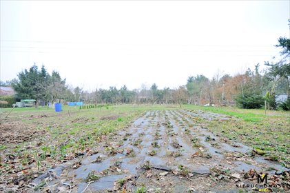 działka na sprzedaż 1424m2 działka Ząbrowo, Polna