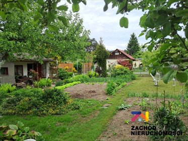 Działka 385 m² w Zielonej Górze (ROD 35 lat, prąd, woda) działka Zielona Góra, Jędrzychów