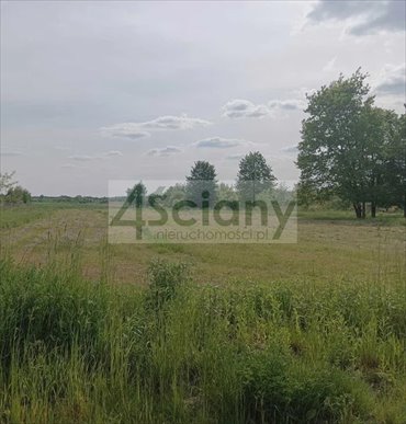 działka na sprzedaż 3000m2 działka Książenice