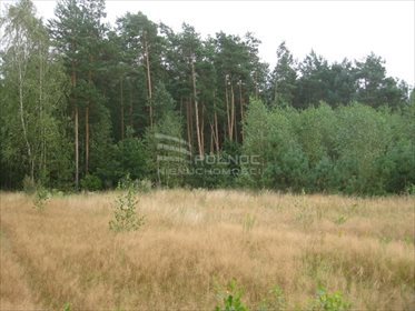 działka na sprzedaż 3000m2 działka Kudrycze