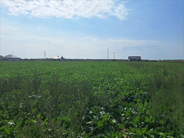 działka na sprzedaż 1594m2 działka Turowola-Kolonia