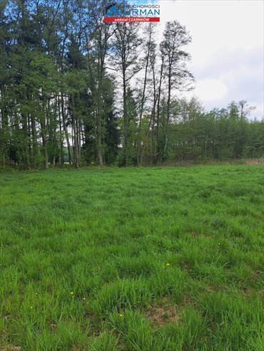 działka na sprzedaż 1265m2 działka Klempicz