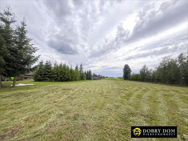 działka na sprzedaż 3800m2 działka Ostrów Północny