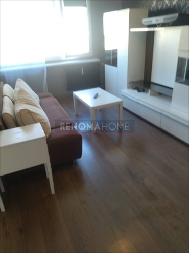 mieszkanie na wynajem 40m2 mieszkanie Polkowice