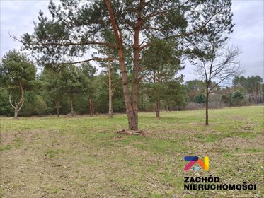 działka na sprzedaż 1341m2 działka Radomia, Orzewo