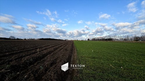 Działka przemysłowo-handlowa na sprzedaż Jedlanka 35 565m2 Foto 4
