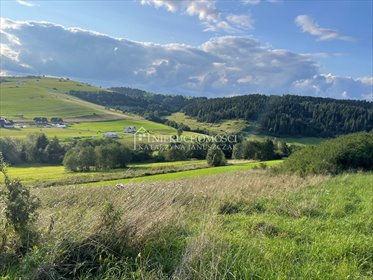 działka na sprzedaż 13600m2 działka Łapsze Wyżne