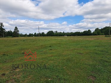 działka na sprzedaż 6000m2 działka Szymany