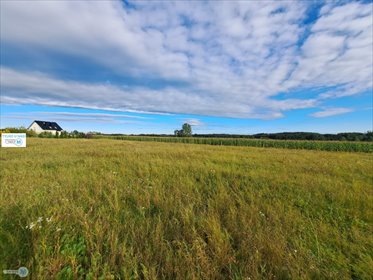 działka na sprzedaż 6600m2 działka Pierzchnica, Drugnia