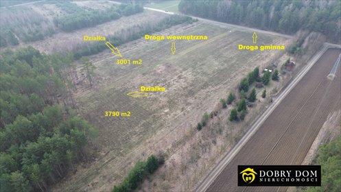 działka na sprzedaż 3790m2 działka Krynice