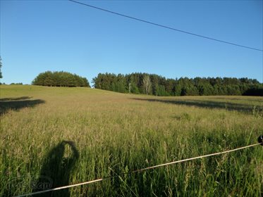 Działka rolna na sprzedaż Stare Kawkowo 3 206m2 Foto 6