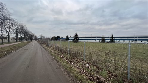 Działka komercyjna pod dzierżawę Grodzisk Wielkopolski 5 920m2 Foto 4