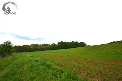 działka na sprzedaż 35000m2 działka Sieraków