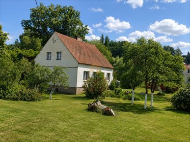 Dom z potencjałem inwestycyjnym w Dąbiu, 90 m² dom Dąbie