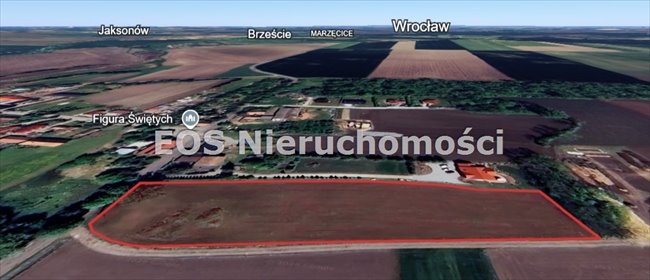 działka na sprzedaż 7026m2 działka Brzoza