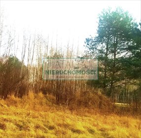 Polecam działkę 1500 m² w cichej okolicy Grodziska Mazowieckiego działka Szczęsne