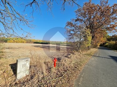 działka na sprzedaż 4000m2 działka Osolin