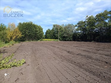 Działki w Szeligach z warunkami zabudowy - polecam działka Szeligi