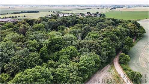 Dom na sprzedaż Chlewiska 420m2 Foto 4