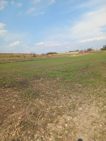 działka na sprzedaż 6600m2 działka Jakubowice Murowane