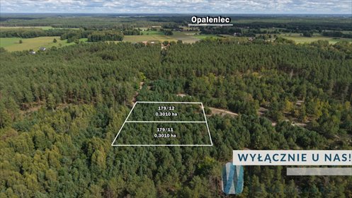 Zapraszam do zakupu działki rolnej 3007 m² w Opalencu działka Opaleniec
