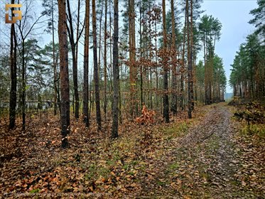 działka na sprzedaż 1508m2 działka Warszawa, Wawer, Ezopa