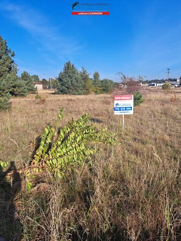 Działka 2650 m² pod zabudowę mieszkaniowo-usługową (Wieleń) działka Wieleń