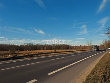 działka na sprzedaż 18383m2 działka Koźlice