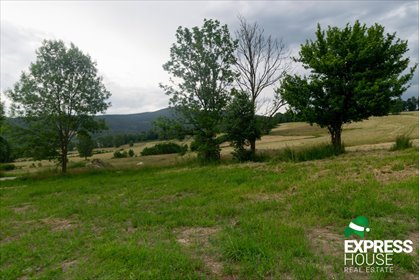 działka na sprzedaż 2617m2 działka Stronie Śląskie, Polna