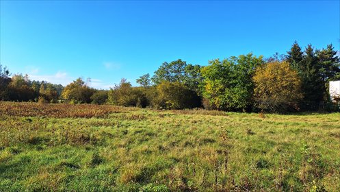 działka na sprzedaż 1101m2 działka Łomianki, Łomianki, Dąbrowa, Prosta