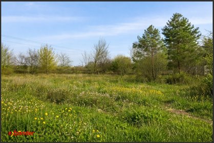 Działka 1798 m² w Wrześni - zapraszam działka Września