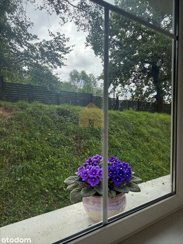 Komfortowe 3-pokojowe mieszkanie w stanie deweloperskim (71,62 m²) w kamienicy mieszkanie Jelenia Góra