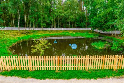 Działka 1818 m2 z stawem, lasem i dojazdem asfaltowym działka Szymbark