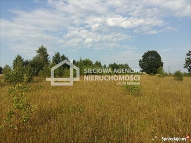 Na sprzedaż działka 1500 m² wśród lasów i jezior Kaszubskich działka Nowa Wieś
