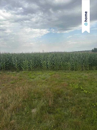 działka na sprzedaż 1580m2 działka Rybnik, Radziejów, Popielowska