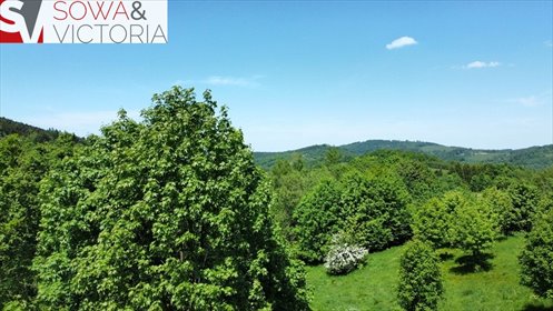 działka na sprzedaż 1505m2 działka Walim