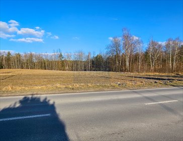 Działka budowlana na sprzedaż Myszków, Słowackiego 13 270m2 Foto 4