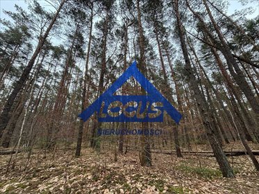 Działka 1820 m² w Magdalence z mediami i potencjałem inwest. działka Magdalenka
