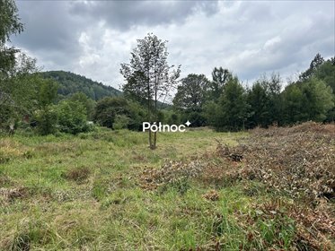 Działka 3001 m² z mediami, las, szlak turystyczny - polecam! działka Piechowice, Górzyniec