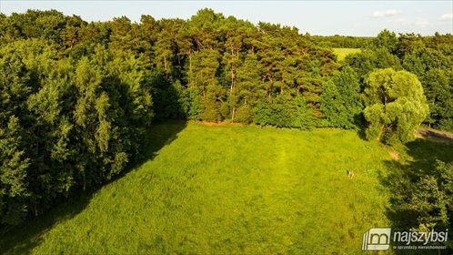 Działka z możliwością zabudowy, 4228 m², zalesiona - polecam! działka Nowogard