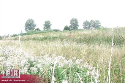 działka na sprzedaż 28000m2 działka Dołuje