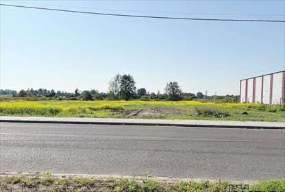 działka na sprzedaż 15000m2 działka Nowy Tomyśl, ul. Leśna
